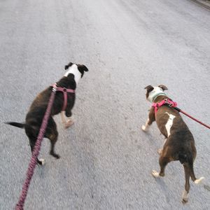 Meet your Posher, Edward